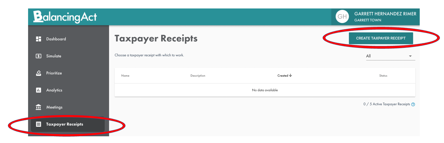 Balancing Act create taxpayer receipt - screenshot