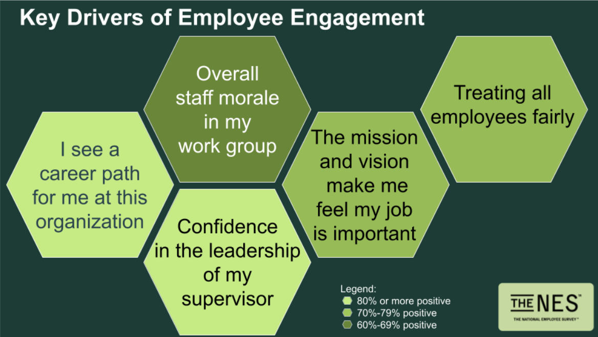 Polco's NES - Key Drivers of Employee Engagement - infographic