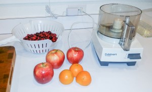 Cranberries, apples, oranges and a food processor