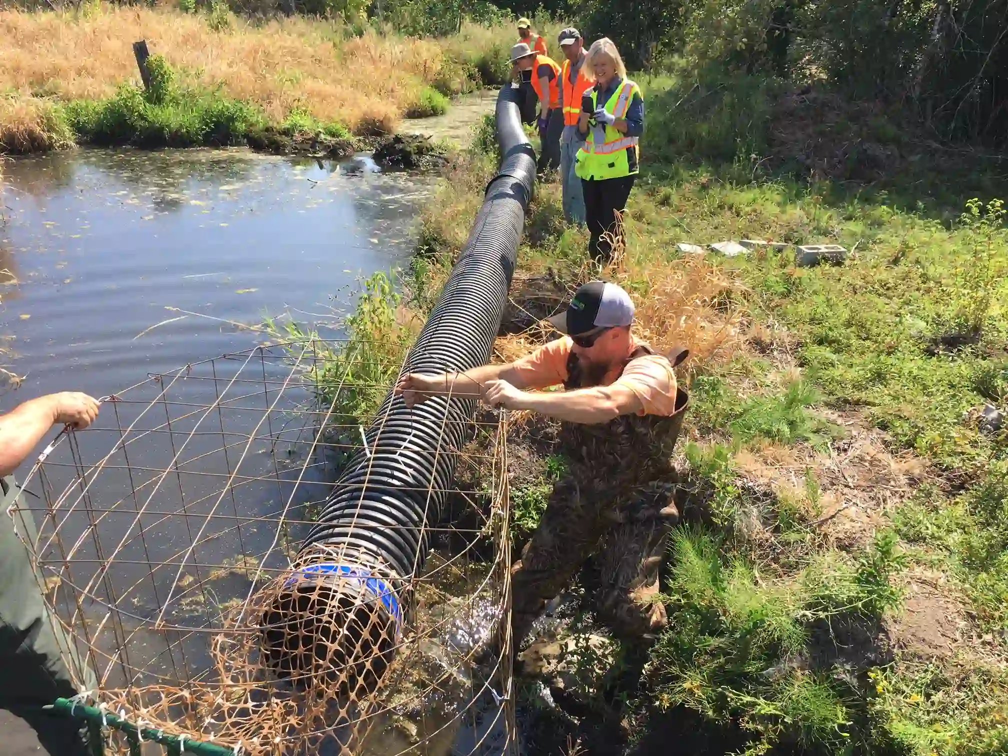 Beaver deceiver installation(1)
