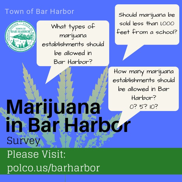 A poster advertising various questions asked of Bar Harbor residents about marijuana.