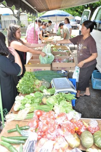 honolulu_health_wellness