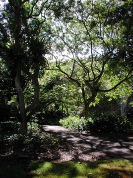honolulu_parks_ recreation_trails_2
