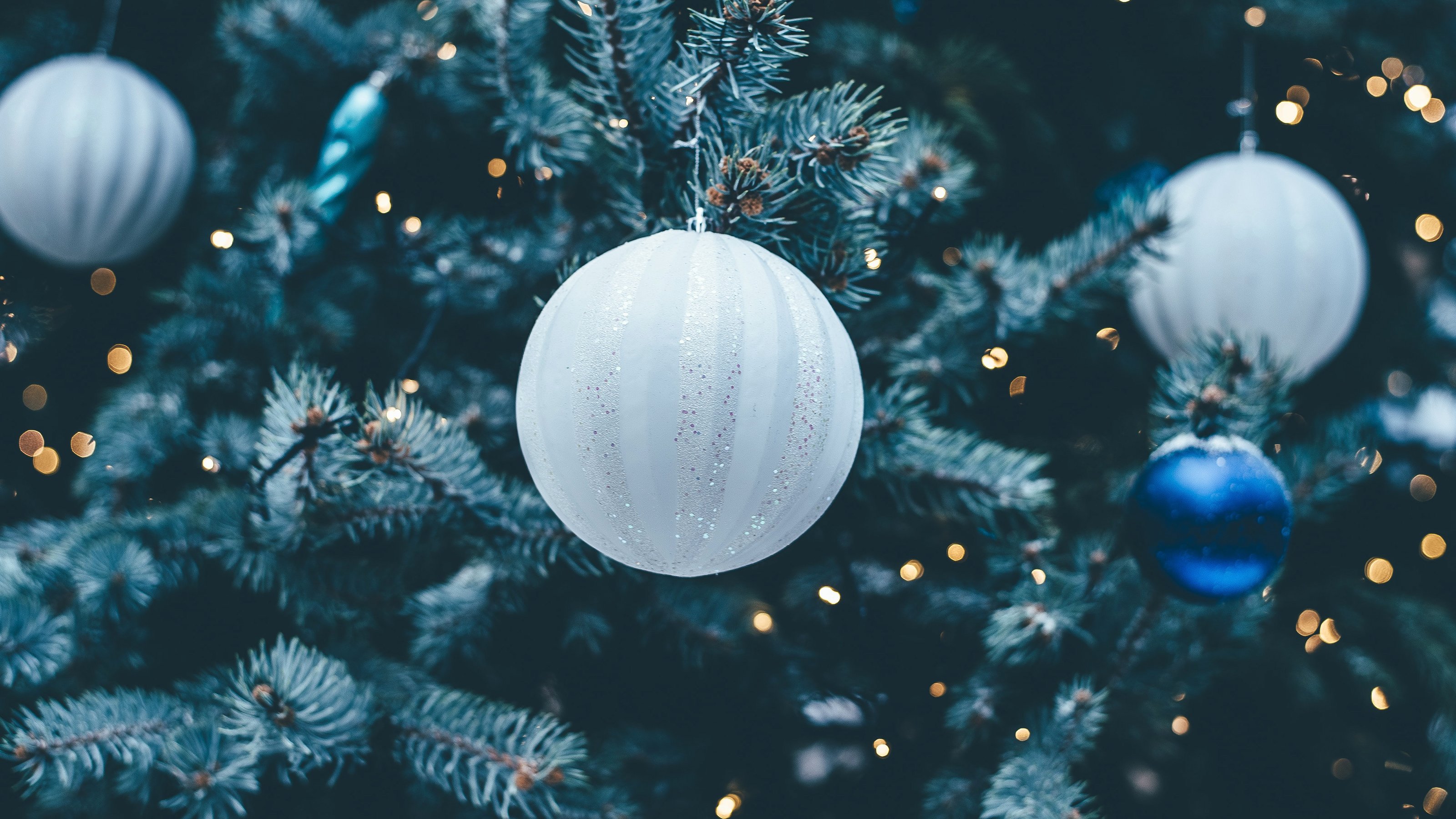 Ornaments on a Tree by Annie Spratt on Unsplash